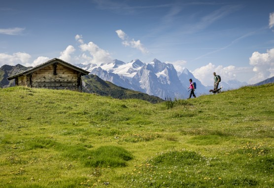 Wandern mit Hund Bergbahnen Meiringen Hasliberg