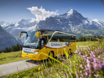 Ausflug im Berner Oberland mit dem Grindelwald Bus