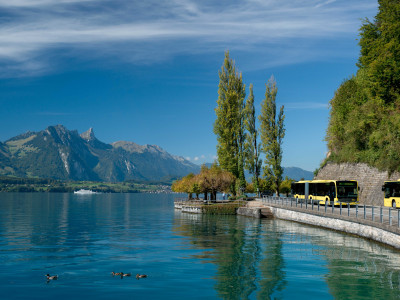 STIBus am rechten Thunersee Ufer mit Blick auf Schiff und Berge