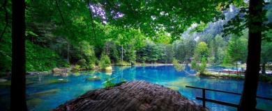 Erholung am tiefblauen Bergsee Blausee zwischen Frutigen und Kandersteg im Berner Oberland