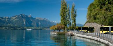 STIBus am rechten Thunersee Ufer mit Blick auf Schiff und Berge