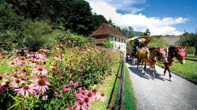 Carriage ride through the open-air museum Ballenberg