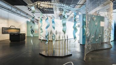 Tropenhaus Frutigen - Ideal bad weather excursion in the Bernese Oberland