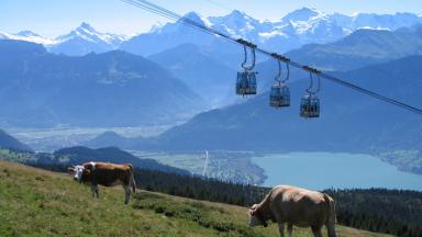Circular gondola on the Niederhorn with view of Lake Thun
